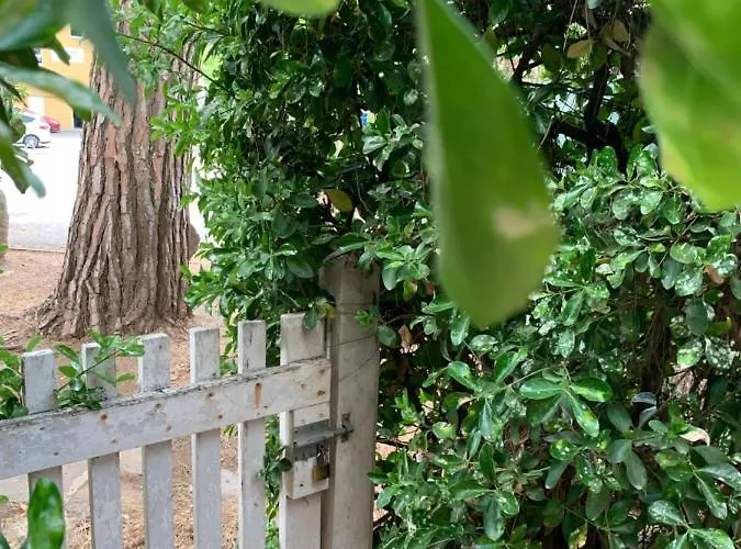 Cap D Rez-de-jardin Marine Centre Port Daire Agde